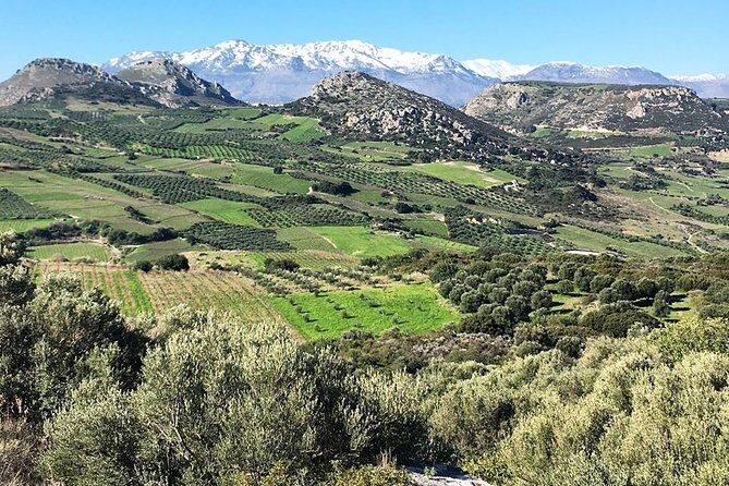 Semi Private Wine and Olive Oil tour (Transfer & Lunch Incl.) - Archanes village lunch: trees, flowers, and raki included