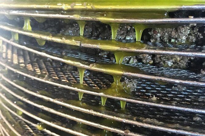 Semi Private Wine and Olive Oil tour (Transfer & Lunch Incl.) - Cost and value: what you actually get for $185.73