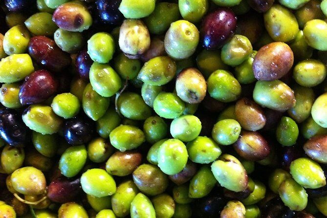 Semi Private Wine and Olive Oil tour (Transfer & Lunch Incl.) - Who should book this tour (and who might prefer DIY)