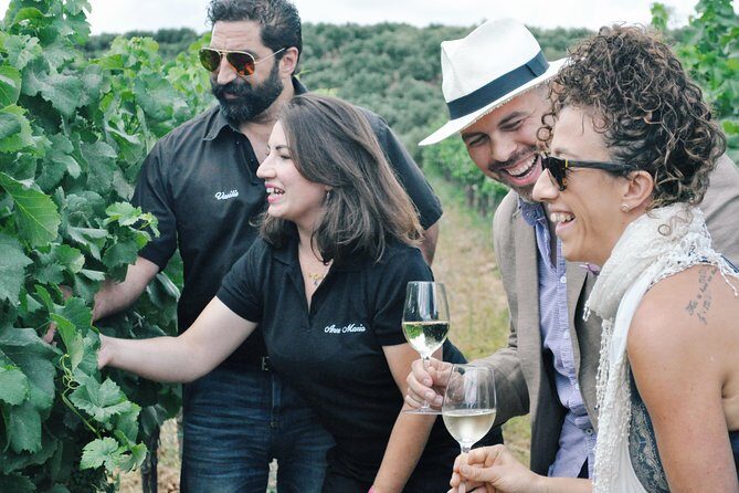 Semi-Private Wine Discovery Tour in Chania - Key points to know before you go