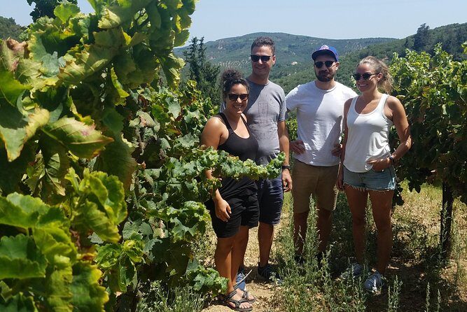 Semi-Private Wine Discovery Tour in Chania - Semi-private in Chania: why the group size matters