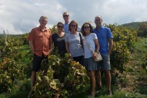 Semi-Private Wine Discovery Tour in Chania - Price and what you really get for about $114.65