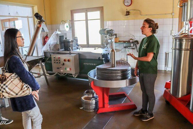 Semi Private Wine, Olive Oil, and Terroir Tour of Heraklion area with Tastings - Key highlights you’ll feel on the day