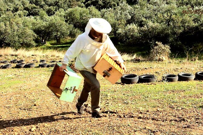 Small-Group Honey & Extra Virgin Olive Oil Tasting Tour in Crete - Quick Hits