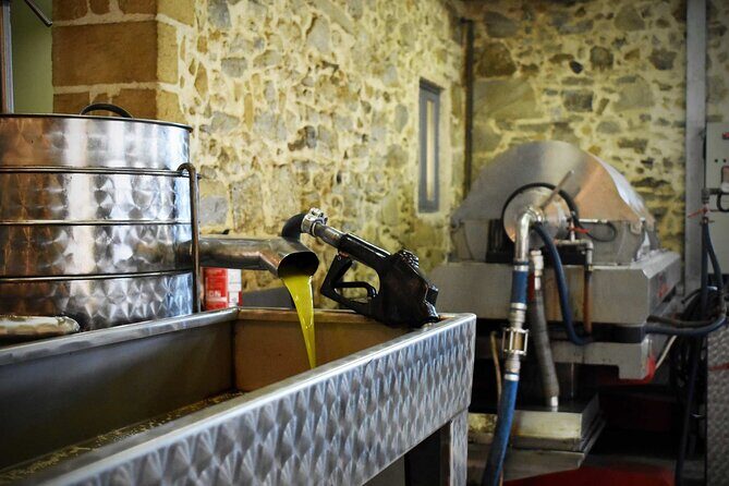 Small-Group Honey & Extra Virgin Olive Oil Tasting Tour in Crete - The 1920-to-Now Story That Connects Bees and Olives