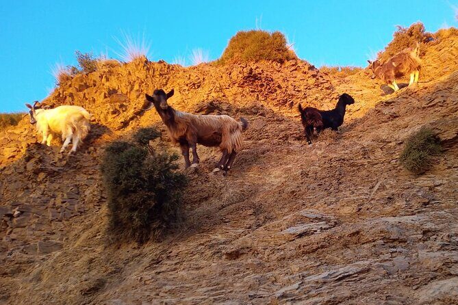 Sunset Jeep Tour in Crete - Aposelemis Dam: seeing Sfendili’s past through water