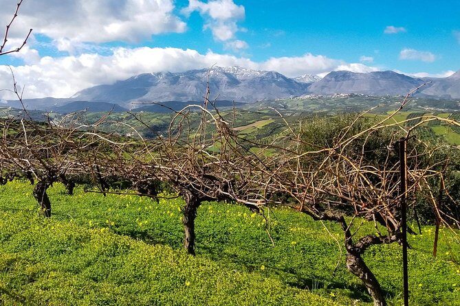 The Gourmet Wine Tour of Heraklion area - Bakaliko Crete: olive oil tasting plus a proper lunch in Archanes