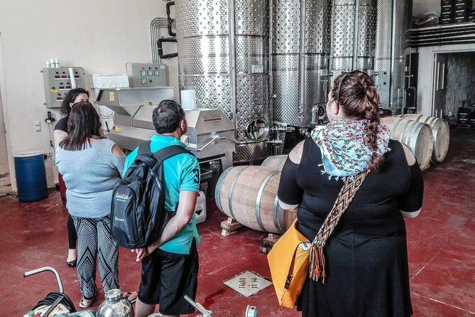 The Gourmet Wine Tour of Heraklion area - Wine pairings and pacing: how to enjoy without getting overwhelmed