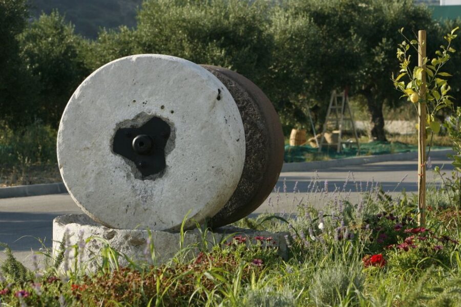 The Terra Creta Olive Oil Experience Tour - Key takeaways before you go