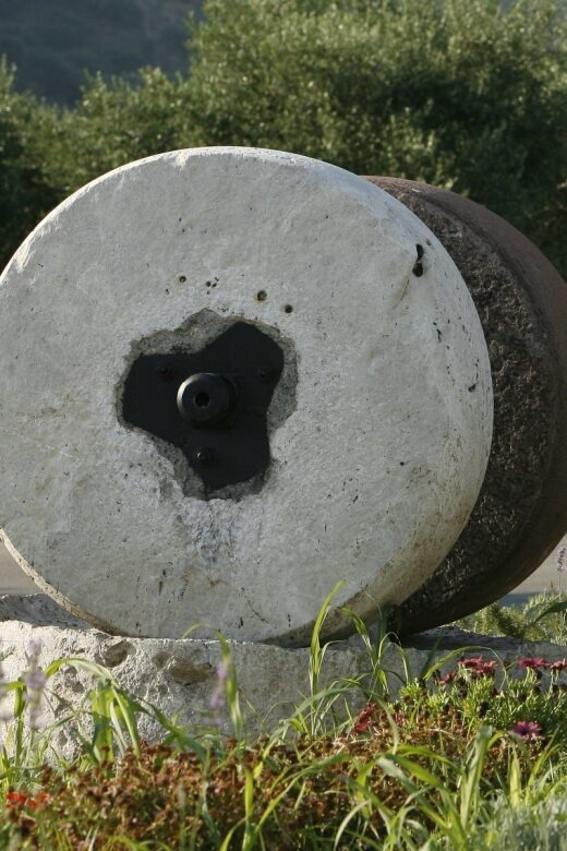 The Terra Creta Olive Oil Experience Tour - Price and value: why $11 works when time is tight