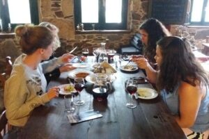 Wine & Olive Oil Tour with Lunch at Milia Mountain Retreat - Stop 1: Vouves Olive Tree Museum, Coffee Time, and a Living 3,000-Year Legend