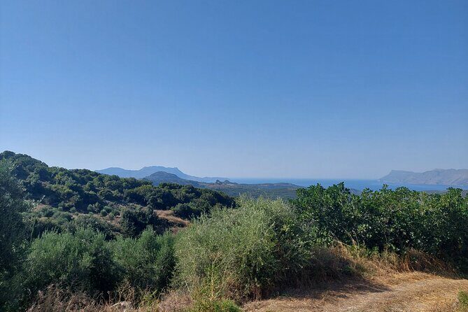 Wine Tasting: Meet the Cretan Vineyard at West Chania - How the guide connects you to Cretan winemaking practices