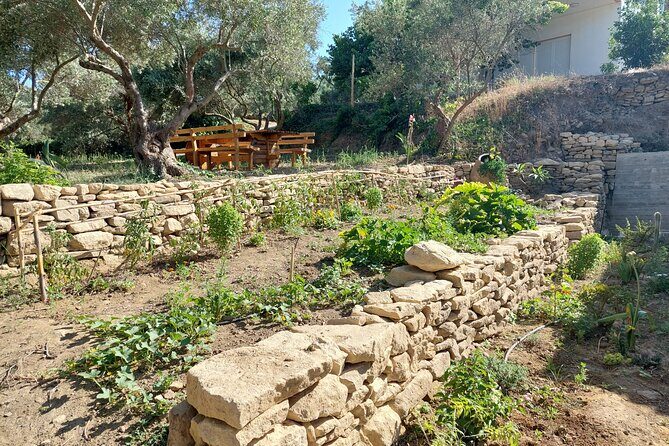Wine Tasting: Meet the Cretan Vineyard at West Chania - Price and value: what $60.01 buys in real terms