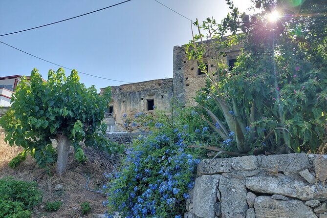 Wine Tasting: Meet the Cretan Vineyard at West Chania - Should you book the Meet the Cretan Vineyard tasting?