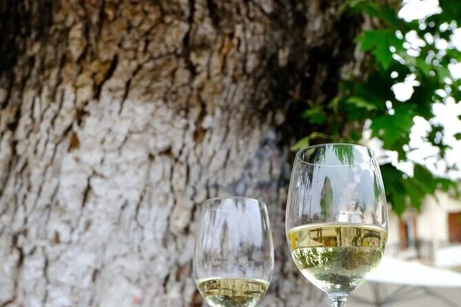 Wine Tasting Walking Tour in Old Town Chania - Old Venetian Harbor tastings with lighthouse views (Stop 1)