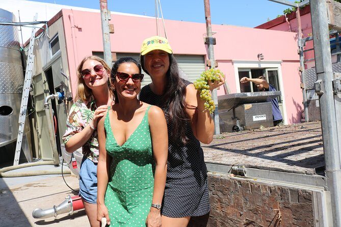 "YAMAS" - Winery tour &wine tasting - The role of amphora vs barrel in the wines you taste